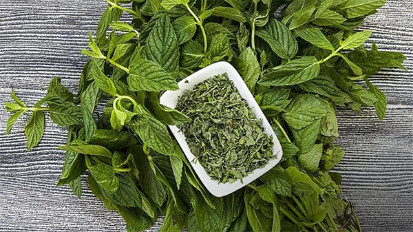 خواص روغن نعناع