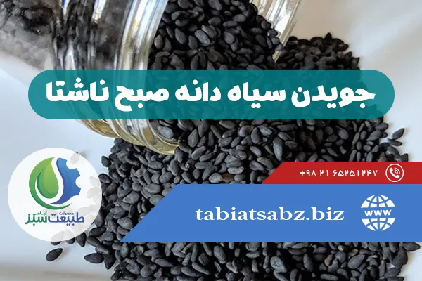 جویدن سیاه دانه صبح ناشتا