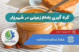 کره گیری بادام زمینی در شهریار