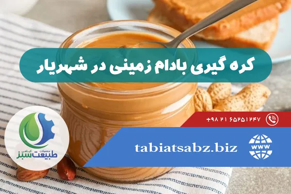 کره گیری بادام زمینی در شهریار