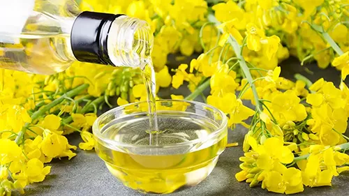 روغن کلزای طبیعی و خالص