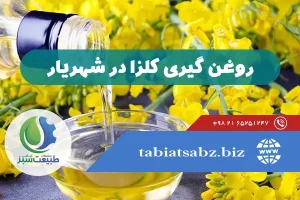 روغن گیری کلزا در شهریار