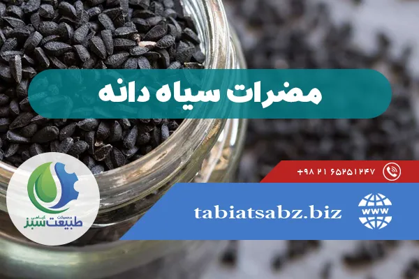 مضرات سیاه دانه برای افراد بالای 8 سال