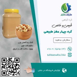 کره چهار مغز طبیعی